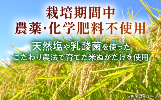 発芽玄米パウダー 約100g×1袋【株式会社 夢アグリ】 [ZCL031]