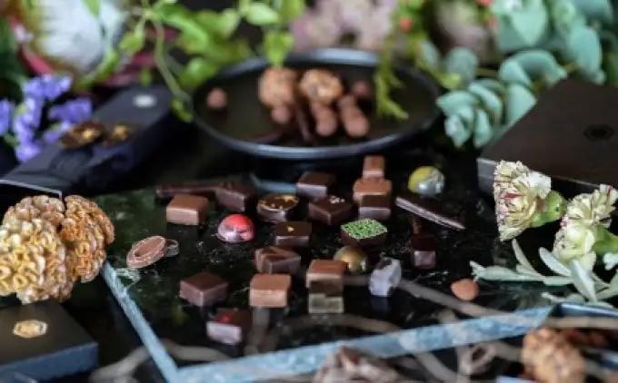 オリジナルチョコレート「ロデッセイ」コイン状チョコレート16枚入り／NICOchocolaterie チョコレート チョコレート専門店 ボンボンショコラ スイーツ お菓子 贈答用 ギフト お取り寄せ 