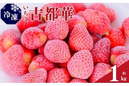 平群の古都華 冷凍いちご ミックスサイズ 1kg | フルーツ 果物 くだもの いちご 苺 イチゴ 古都華 ことか 冷凍 ミックス スムージー  奈良県 平群町 扇田農園