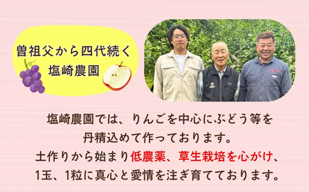 【果汁100%】りんごジュース 1L×6本 （At-002）りんごジュース_