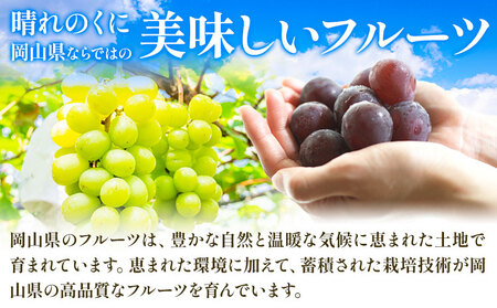 シャインマスカット【晴王】 & ニューピオーネ 計5kg以上(各4~5房) 【先行予約】 株式会社Myself《2025年9月上旬-11月上旬頃出荷》マスカット 送料無料 岡山県 浅口市 ぶどう フル