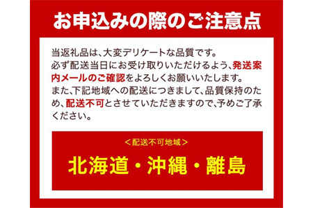 ぶどう [2024年先行予約] シャインマスカット 晴王 2房 1kg 岡山県産《9月上旬-11月中旬頃出荷(土日祝除く)》 ハレノフルーツ マスカット 送料無料 岡山県 浅口市 フルーツ 果物 贈り物 ギフト 国産 岡山県産 くだもの 青果物 【配送不可地域あり】---124_c411_9j11c_23_30000_1000g---