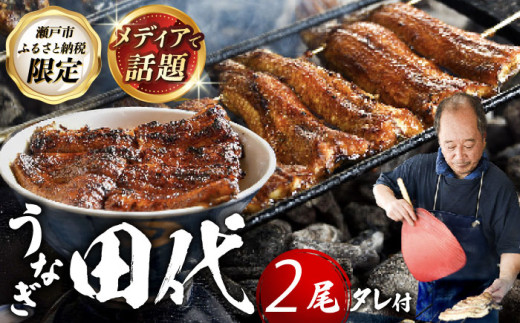 【2026年10月発送】炭火焼き 国産うなぎ 蒲焼 2尾 / ウナギ 鰻 蒲焼 炭火 かば焼き / 瀬戸市 / うなぎ田代 [BBCA002-10]