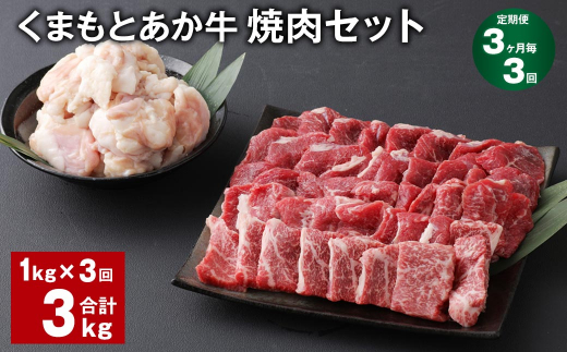 【3ヶ月毎3回定期便】 くまもとあか牛 焼肉セット 計約3kg（約1kg✕3回） 焼肉 もも ホルモン