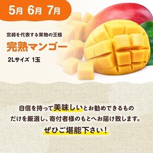 【3ヶ月定期便】完熟マンゴー定期便Vol.1 【 川南町産 くだもの マンゴー  】