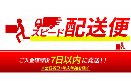 ＜【7日以内に発送！】【プレゼント・ギフト】令和6年産 木城町・毛呂山町 新しき村友情都市コラボ 日本酒 純米吟醸「城 ～不落の城」2本＞ K21_0043