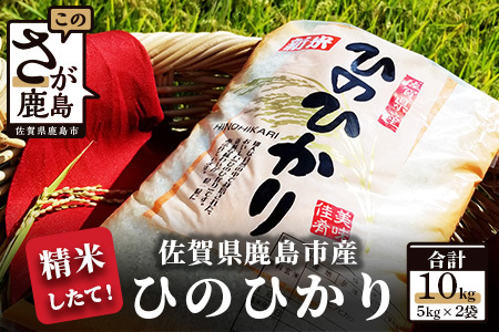  【精米したて！】令和6年産 ひのひかり 10kg（5kg×2袋） B-169