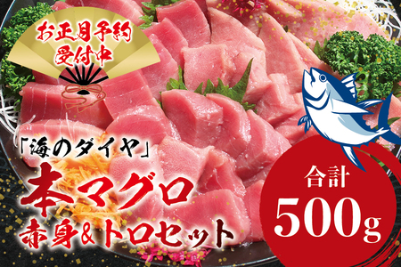 【お正月予約12月25日～29日に発送】本マグロ（養殖）トロ＆赤身セット 500g 高級 クロマグロ  中トロ 中とろ まぐろ マグロ 鮪 赤身 柵 じゃばらまぐろ 年内配送 年内発送 お正月 正月【