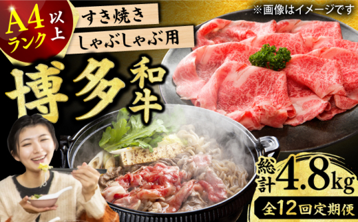 【12回定期便】【A4ランク以上！】博多和牛 しゃぶしゃぶ・すき焼き用400g 肉 にく ニク お肉 牛肉 博多和牛 ウデ モモ 肩ロース 国産 しゃぶしゃぶ すき焼き 鍋 福岡 化粧箱入り 冷凍 広川町/株式会社MEAT PLUS [AFBO021]