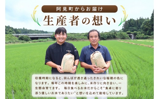 【2026年12月発送】米 ミルキークイーン 精米 15kg 令和8年産 茨城県産 お米 こめ コメ ごはん 白米 みるきーくいーん 茨城県産米 単一米 単一原料米 送料無料 国産 数量限定（85-R