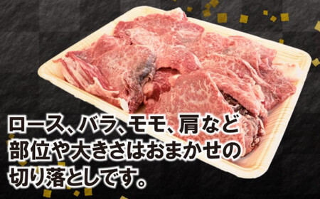 牛肉 切り落とし 500g 焼肉 A5 黒毛和牛 阿波華牛 赤身 ロース 肩 モモ 冷凍 すき焼き 牛丼 BBQ 牛しゃぶ 野菜炒め 肉じゃが 煮物 厳選黒毛和牛赤身切り落とし 国産 牛肉 和牛 薄切