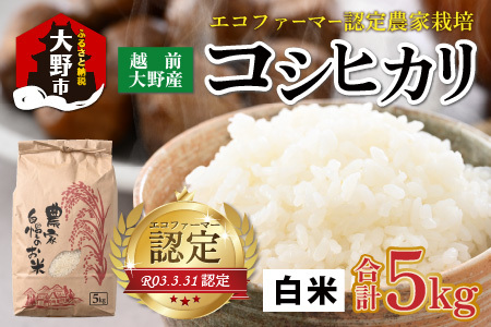 【先行予約】【令和8年産 新米】【有機栽培】エコファーマー認定農家栽培 コシヒカリ5kg（白米）【2026年10月より順次発送】 [A-001086]