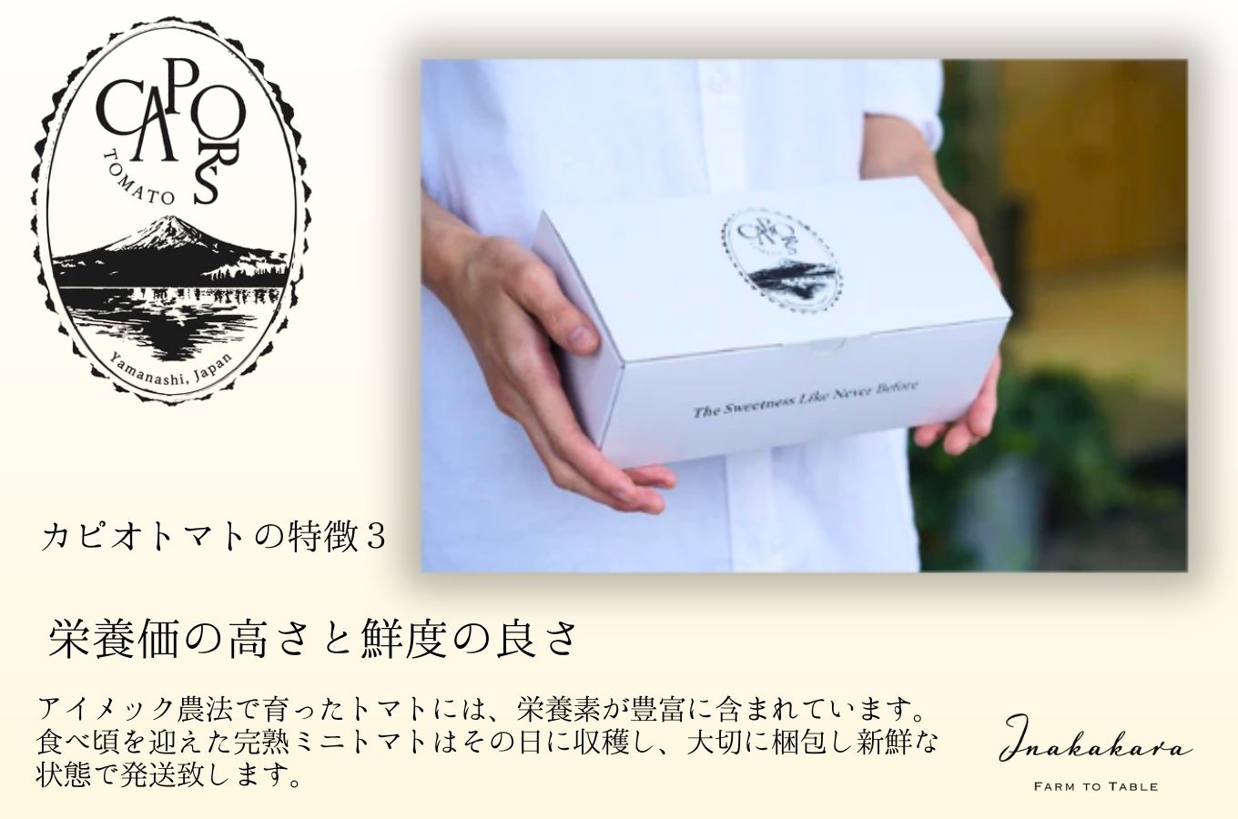 【山梨県南部町 共通返礼品】【カピオトマト】プレミアムフルティカ Mサイズ 500g 株式会社アクロプラス [5839-2225]
