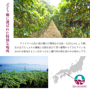 島醸造 シャルドネ 2024 750ml 小豆島醸造 白ワイン 日本ワイン 化粧箱入り お酒 酒 ワイン 熟成 贈り物 ギフト 国産 香川 香川県 土庄 土庄町