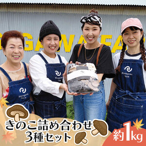 きのこ 詰め合わせ 3種 約1kg【ひらたけしめじ エリンギ ヒラタケ プルーロット】