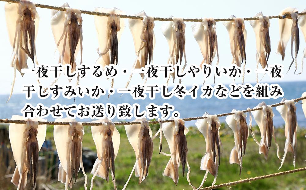 干物 イカ 佐渡産 4枚 ( 1袋2枚 × 2 ) 一夜干しいか