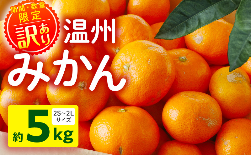 《2026年～2027年発送先行予約》【数量・期間限定】《訳あり》温州みかん5kg 果物 温州みかん みかん ミカン 糖度11度以上 ネイバーフッド 柑橘 自宅用 訳あり