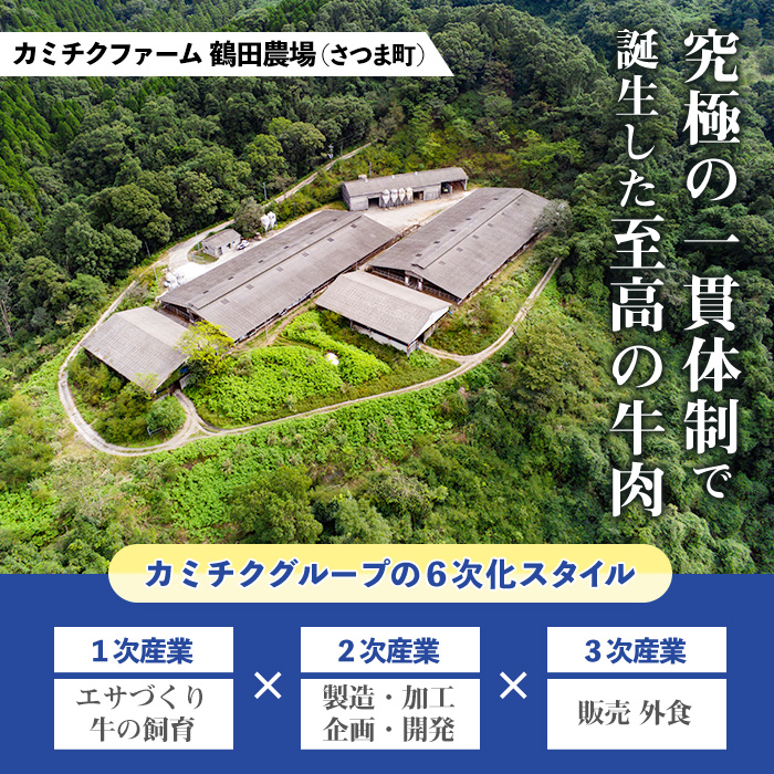 s141 鹿児島県産黒毛和牛ユッケ(計160g・40g×4パック)タレ付き！ 鹿児島 国産牛 九州産 牛肉 黒牛 生食用 小分け 冷凍 ユッケ 黒毛和牛 牛 【カミチク】