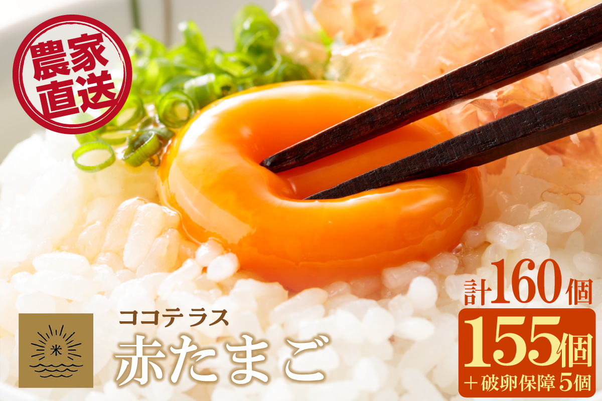 
            ココテラスの明日（赤たまご）155個+5個保証（計160個）【JGAP認証】
          