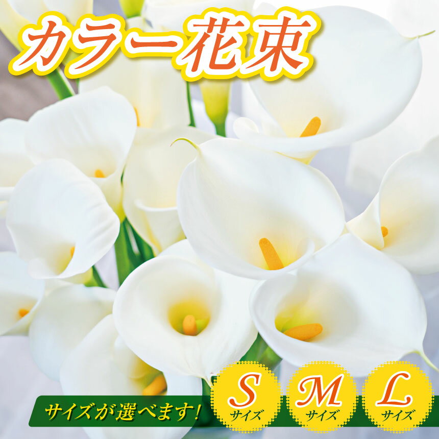 【ふるさと納税】【 選べる サイズ 】カラー 花束 S～L サイズ | S M L 穴太商店 白い カラー シンプル 結婚式 ブーケ 装飾 生花 花 贈り物 贈答 ギフト プレゼント 誕生日 記念日 お祝い 卒業式 ホワイトデー インテリア 千葉県 君津市 きみつ