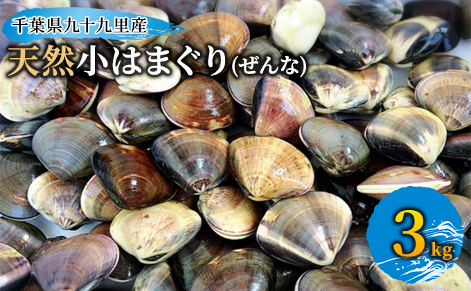 
千葉県九十九里産天然小はまぐり(ぜんな)3kg[№5743-0377]
