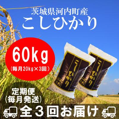 ふるさと納税 河内町 【毎月定期便】茨城県河内町産コシヒカリ20kg(10kg×2袋)全3回 | 