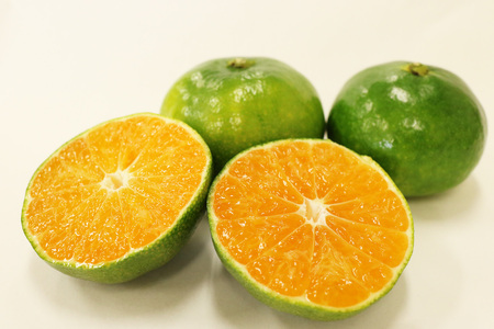 【数量限定】蒲郡グリーン　温室みかん　5kg_【G0487】