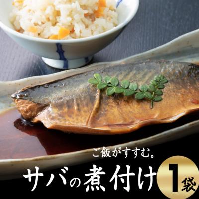 ふるさと納税 室戸市 初音のサバの煮付け【半身×1枚】