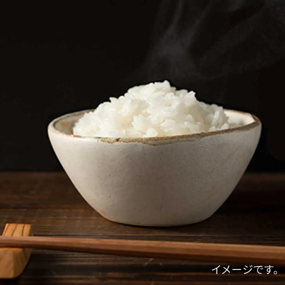 糸島 で 農薬 を使わずに育てた 山つき 糸島米 5kg （ 夢つくし ）《 糸島 》【株式会社やました】 [ARJ014]