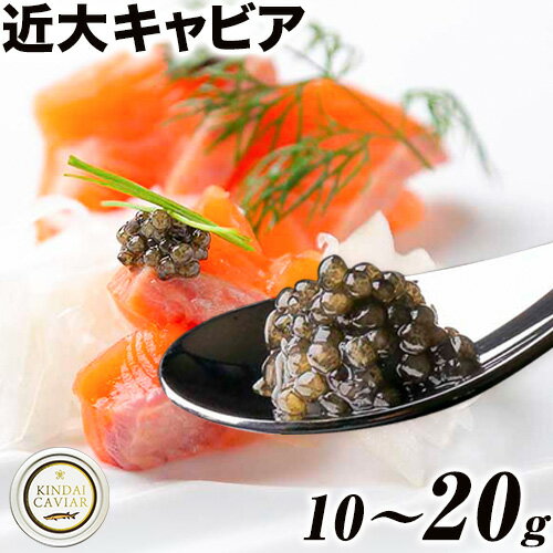 【ふるさと納税】近大キャビア 10g 〜 20g アーマリン近大 《90日以内に出荷予定(土日祝除く)》 和歌山県 日高町 チョウザメ 無添加 無着色 非加熱 魚卵 高級食材 珍味 キャビア