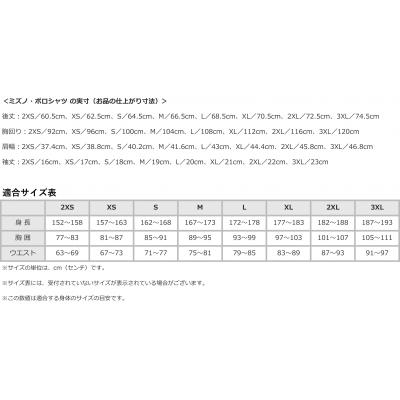 ふるさと納税 霧島市 ミズノ・ポロシャツ　サーフブルー_2XL　A0-284-07 |  | 02