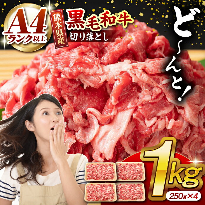 【ふるさと納税】＼レビューキャンペーン／熊本県産 黒毛和牛 切り落とし 計約1kg (約250g×4P) 牛肉 切り落とし 国産 和牛 ブランド牛 A4ランク以上 A4 A5 小分け 冷凍 肉 牛こま 肉じゃが 炒め物 野菜炒め 熊本産 山鹿市 送料無料【有限会社九州食肉産業】[ZDQ019]
