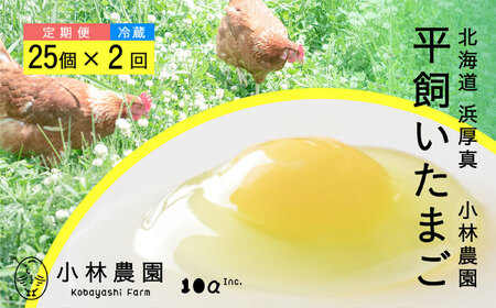 【2ヵ月定期便】小林農園の平飼い有精卵 25個 計50個 冷蔵便 [AXAN090]