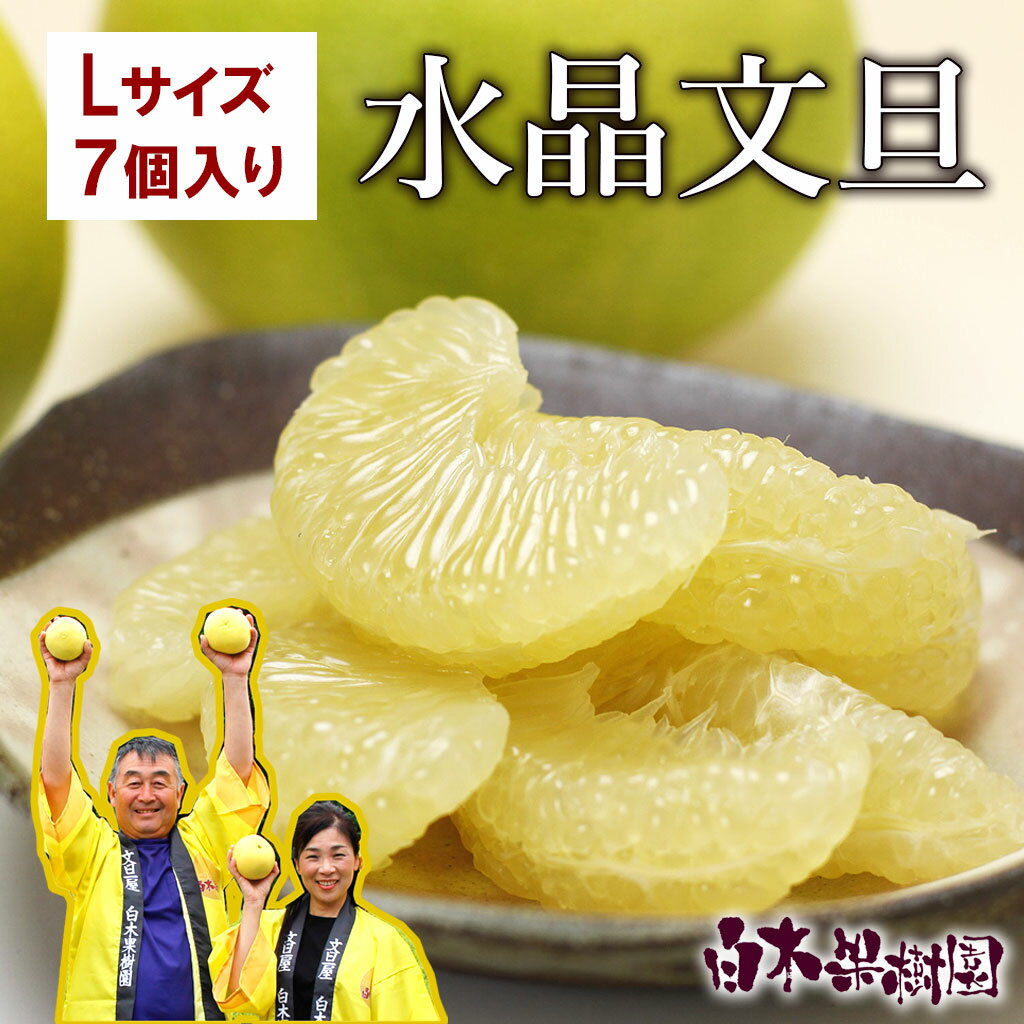 【ふるさと納税】【先行予約】水晶文旦 Lサイズ 7個入り 約3kg〈2026年10月上旬〜11月上旬頃発送〉 / 3キロ 果物 柑橘 フルーツ ぶんたん ブンタン みかん 分担 高知県土佐市 お取り寄せ 産地直送 おいしい 美味しい 返礼品【白木果樹園】[BQAI016]