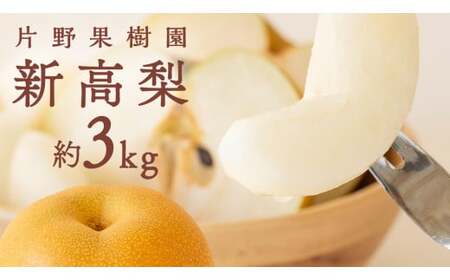 新高梨 約3kg 10月上旬発送 梨 梨 梨 梨 梨 梨 梨