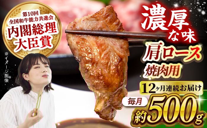 
            【月1回約500g×12回定期便】長崎和牛 肩ロース（焼肉用）計6kg 長崎県/長崎県農協直販 [42ZZAA134]  肉 牛 和牛 ロース 焼肉 焼き肉 西海市 長崎 九州 定期便
          