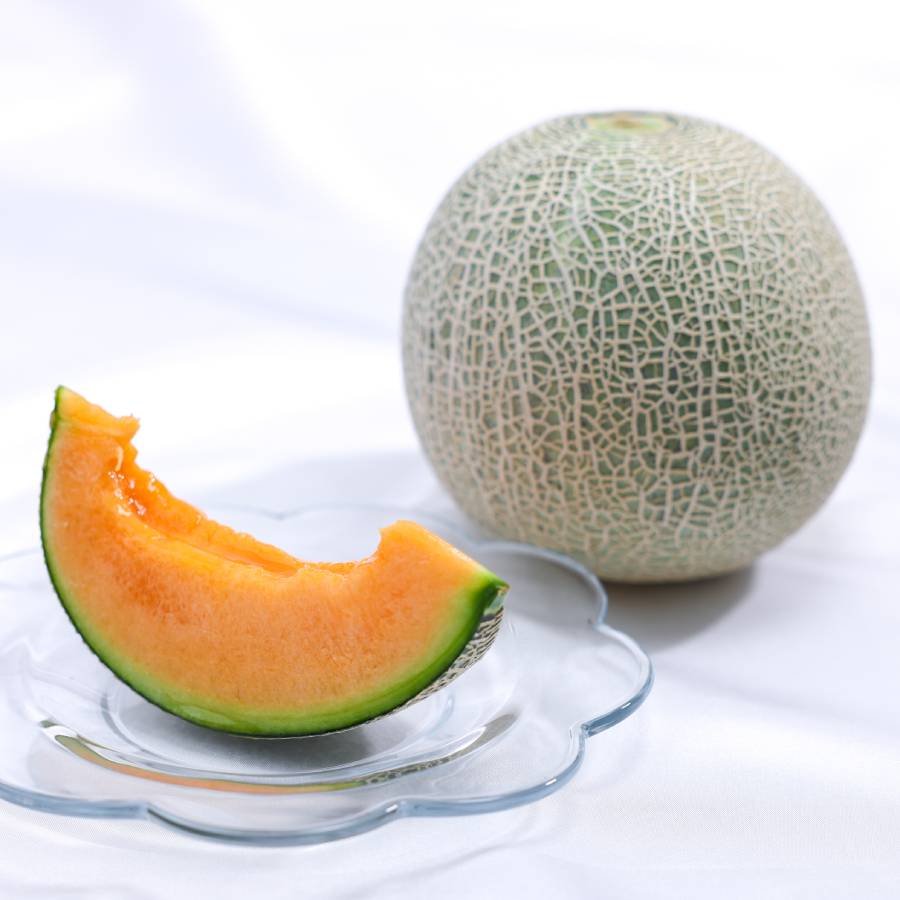 ＜山一ファーム＞クインシーメロン(4L～5L/２玉)
