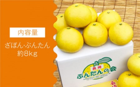 「長崎ざぼん・ぶんたん」 セット 8kg / 柑橘 柑橘類 人気柑橘 フルーツ 2種食べ比べ 柑橘フルーツ 長崎県産柑橘 長崎 フルーツジャム 柑橘ジャム かんきつ 柑橘食べ比べ 完熟柑橘 ざぼん ザ