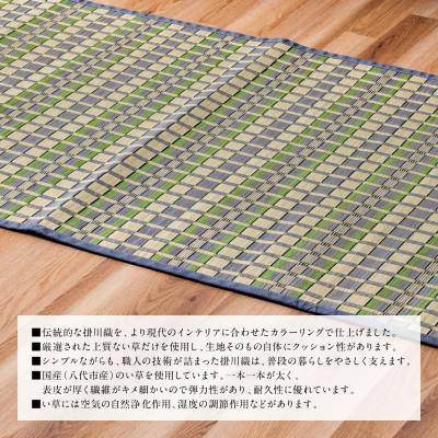 ふるさと納税 八代市 熊本県八代市産のい草を使って丹精込めて織り上げた『タロ』江戸間2畳:グリーン_022-6511 |  | 02