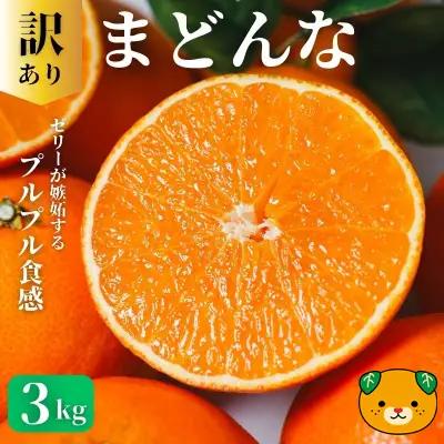 【先行予約：2026年11月20日～発送】訳あり まどんな 3kg 数量限定 愛南町青果市場組合