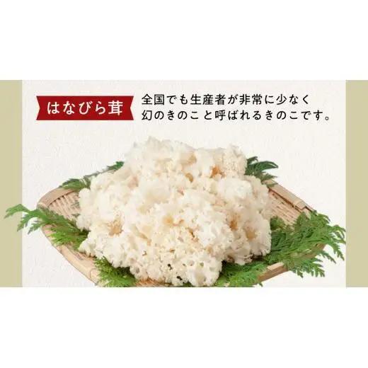 【 3ヶ月連続定期便 】きのこ の 詰め合わせ Lサイズ ( 約2kg ) （茨城県共通返礼品：城里町）