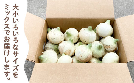 新玉ねぎ（サイズ混合）約10kg / 玉葱 早生 [IBQ012]