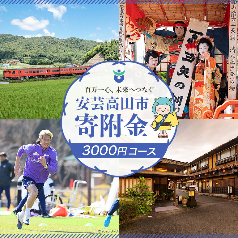 【ふるさと納税】安芸高田市 寄附 3000円 コース 自治体にお任せ 応援 寄付 応援寄附 応援寄附金 お礼の品なし 応援金 寄付金控除 税金控除 控除 買いまわり 買い回り 納税 子育て 教育 まちづくり 支援 広島県 広島 返礼品 安芸高田市 送料無料 人気【返礼品なし】