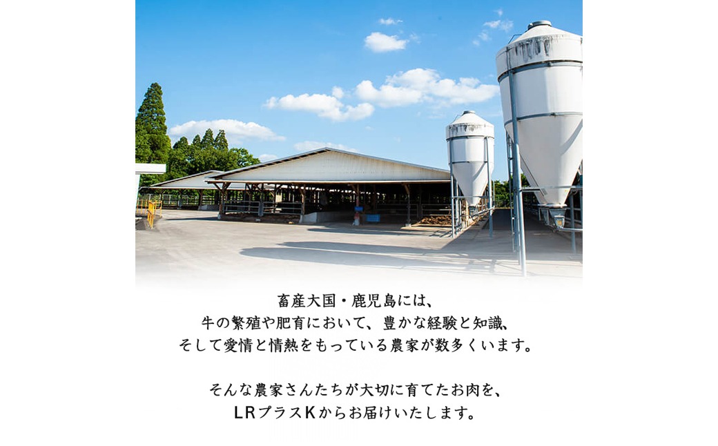 【小分け】＜A5等級＞鹿児島県産黒毛和牛 すき焼きしゃぶしゃぶセット(霜降りスライス・赤身スライス各200g×3P/計1.2kg) b6-022