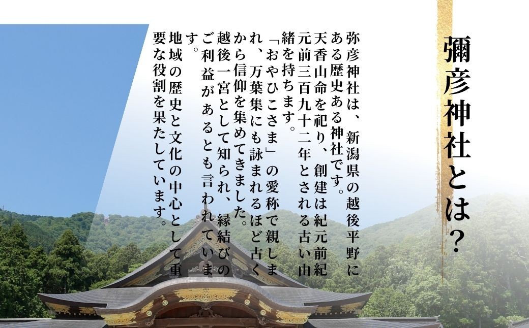 米 30kg 新潟 コシヒカリ 特別栽培米 伊彌彦米 30kg(5kg×6袋) 