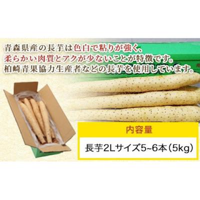 ふるさと納税 おいらせ町 まほろば長芋5kg 　おいらせ町　青森県産　 |  | 01