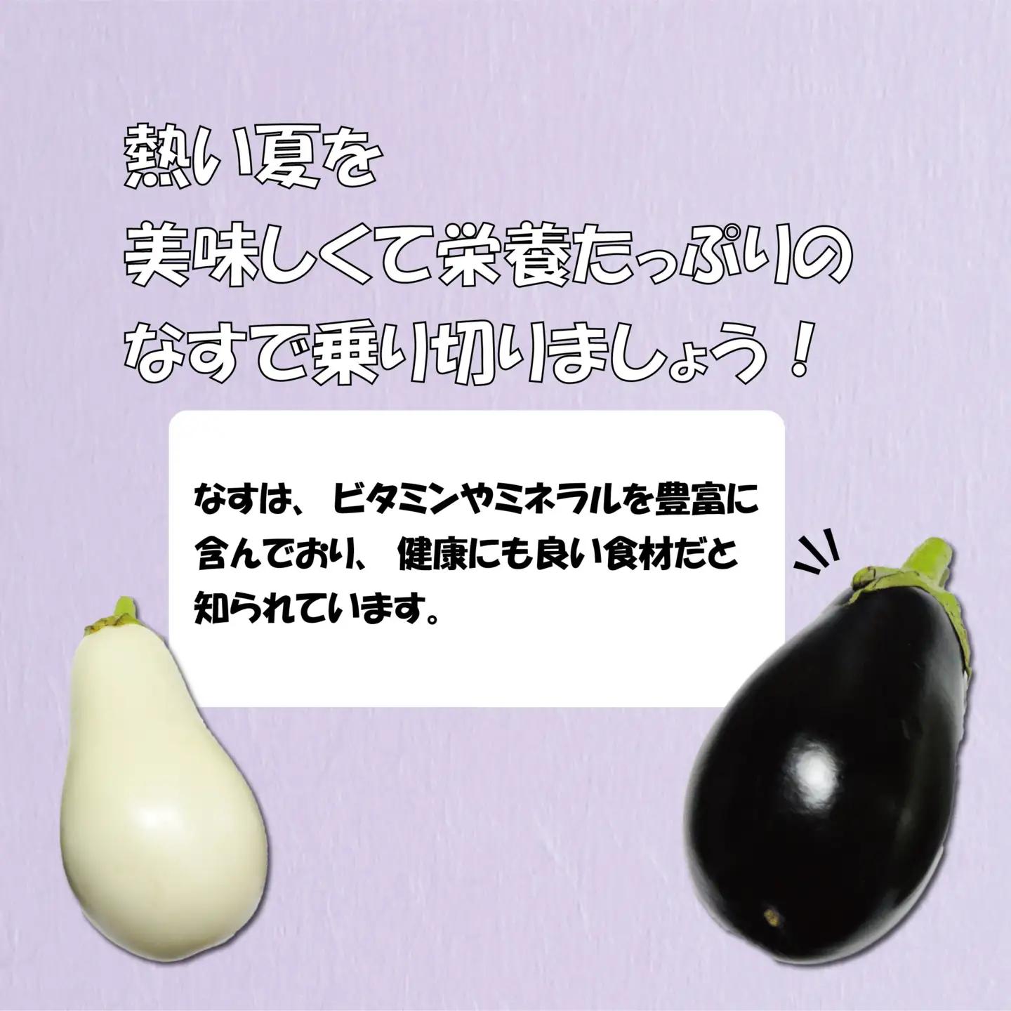 なす 千両なす 白なす 2色 セット 約2kg