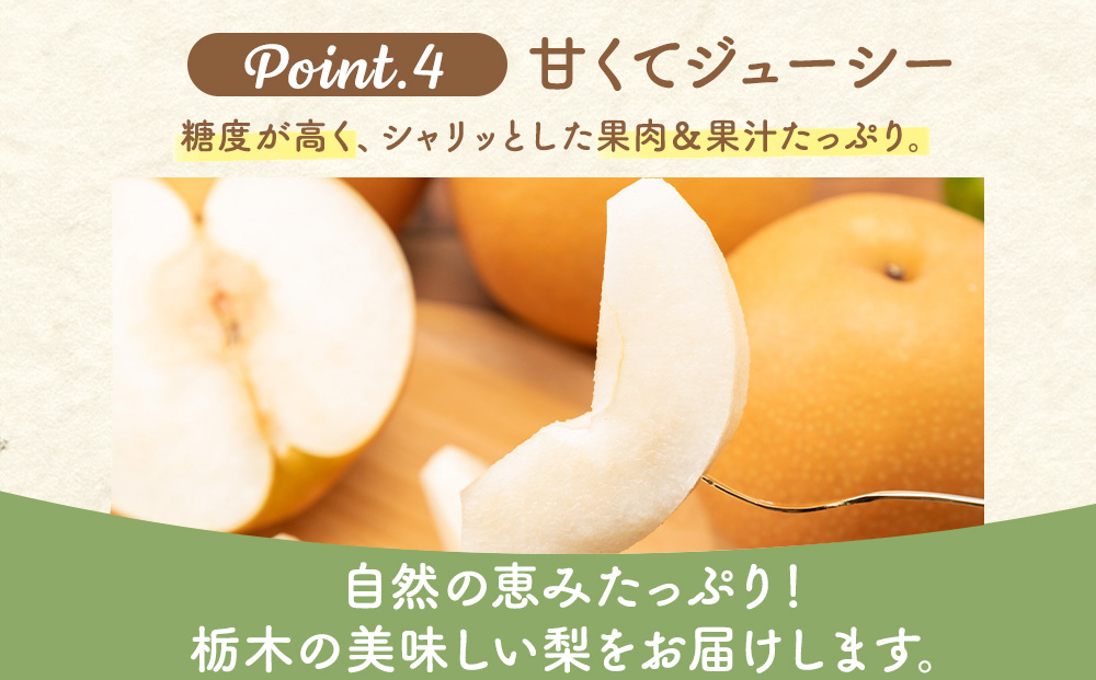梨(にっこり) 2玉入り×1箱 (内容量1玉900g以上)※2025年10月上旬～11月下旬頃に順次発送予定