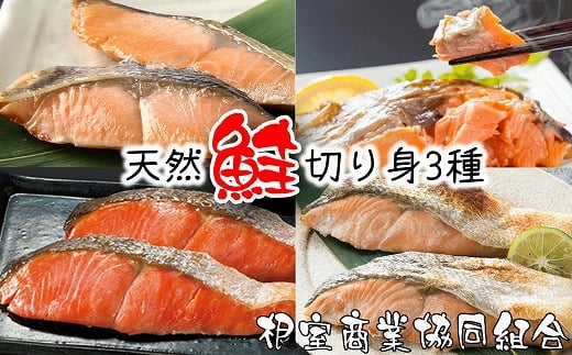 G-18011【年内配送可】 天然鮭切り身3種(紅鮭・沖獲れ鮭・秋鮭)