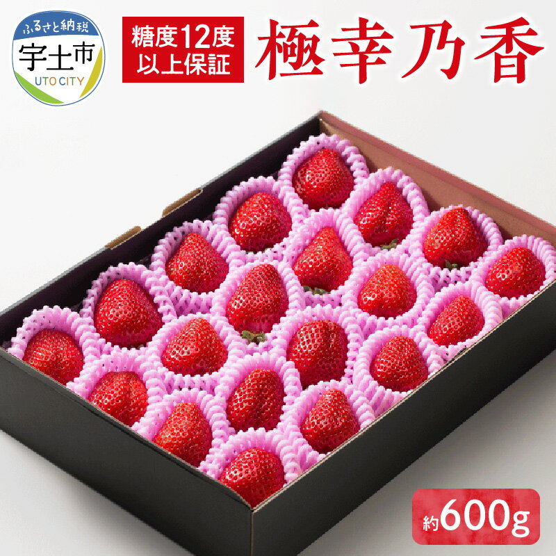 【ふるさと納税】苺 糖度12度以上保証 ブランド苺 極幸乃香 約 600g 12〜25粒 熊本県宇土産 スイーツ ストロベリー さちのか 果物 フルーツ ビタミンC 冷蔵 食品 誕生日 人気 お取り寄せ おすそ分け 手土産 お土産 熨斗対応可 ギフト 贈り物 送料無料 【熊本県宇土市】